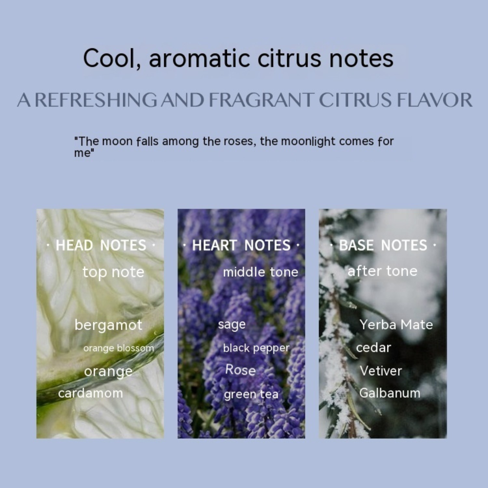 Aromatic Citrus Long-lasting Perfume